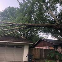 Broken Branch Removal in Green Cove Springs, FL